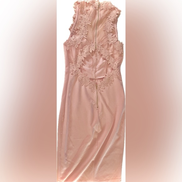 Pink Dress - Picture 3 of 4